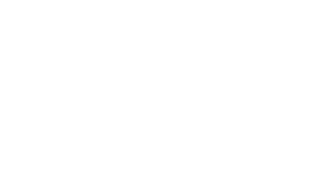 FynLogo